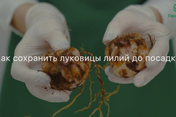 Kraken зеркало kraken link top