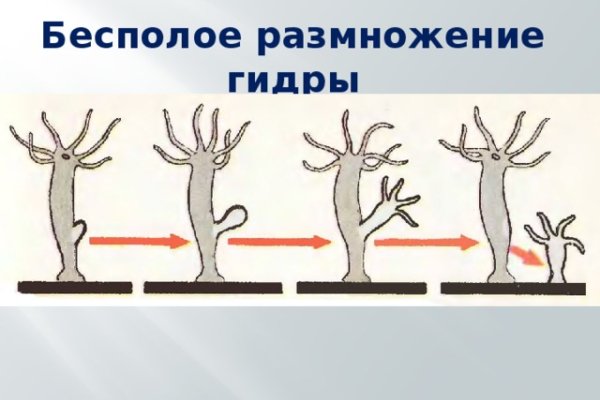 Ссылка на кракен тор магазин