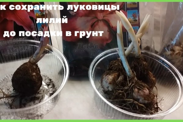 Кракен запрещенные вещества