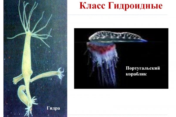 Рабочее зеркало кракен store