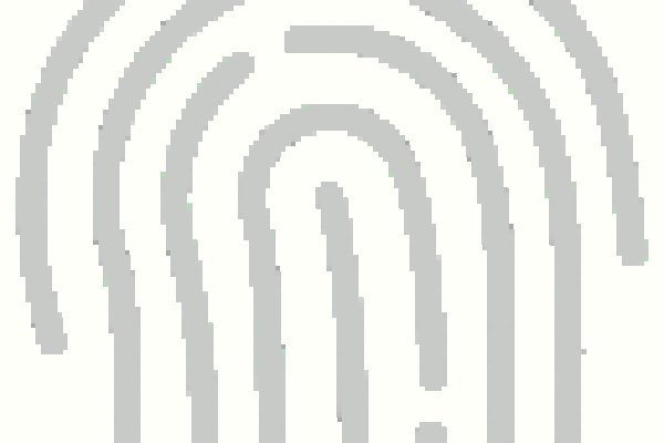 Каталог сайтов даркнет