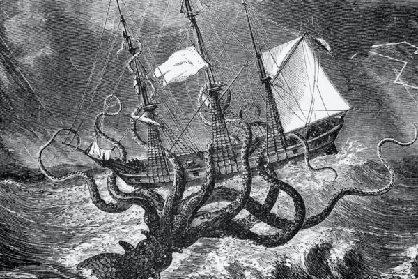 Kraken 24at