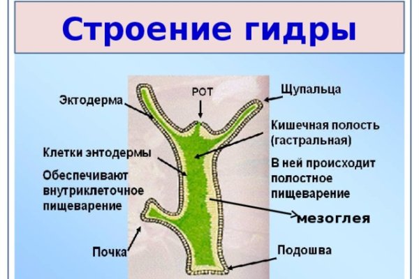 Кракен сайт тор ссылка