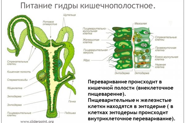 Как зайти на кракен через тор