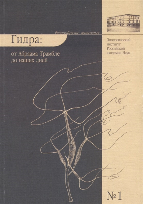 Kraken даркнет рынок