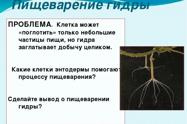 Что такое кракен магазин