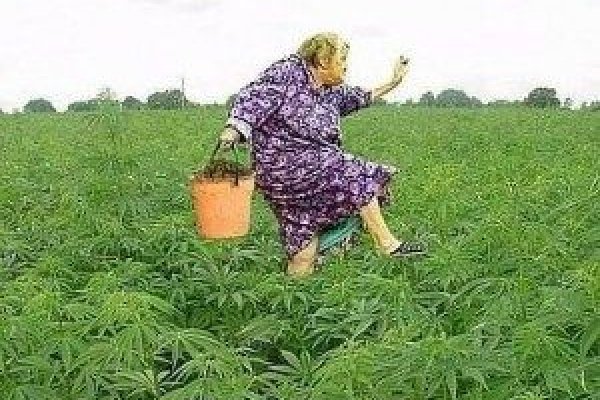 Кракен сайт купить наркотики
