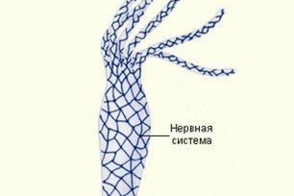 Кракен мониторинг ссылок kraken torion
