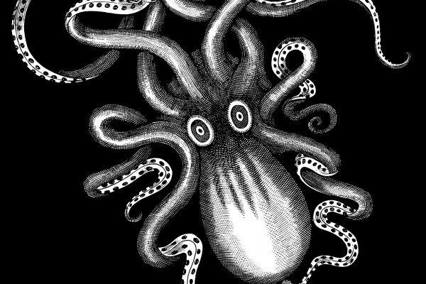 Kraken at17