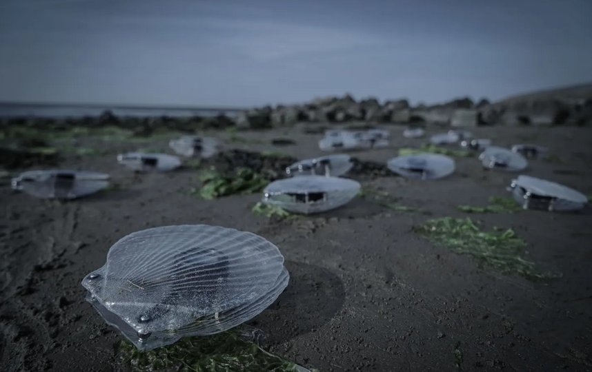 Кракен тг ссылка