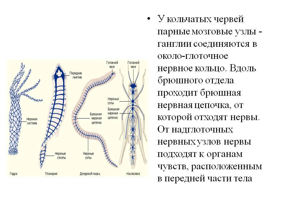 Кракен площадка вход