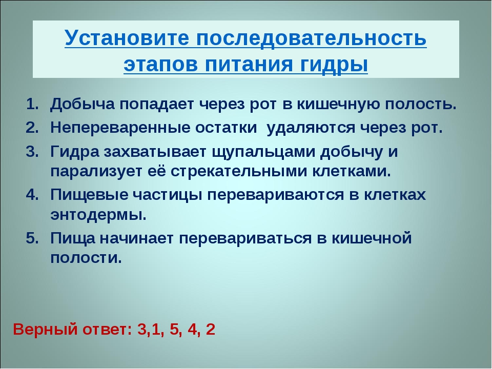 Ссылка на кракен маркет