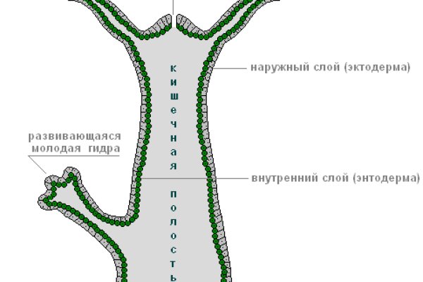 Кракен как проверить зеркало